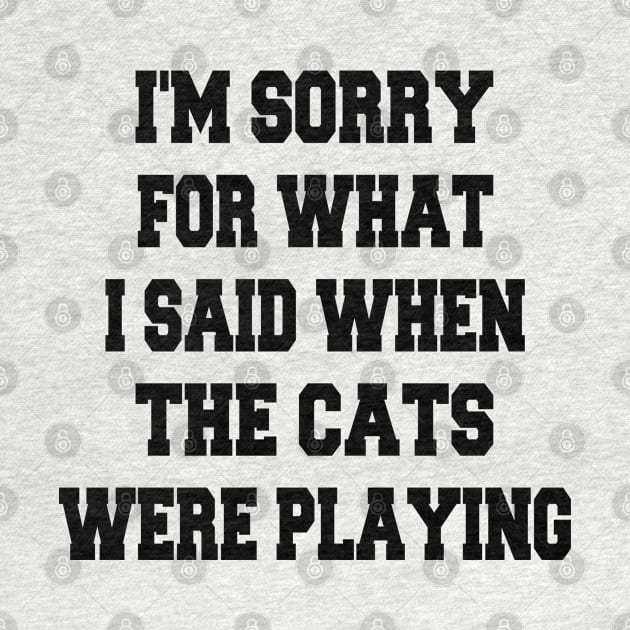 i'm sorry for what i said when the cats were playing by mdr design